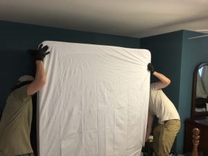 Bed Bug Treatment