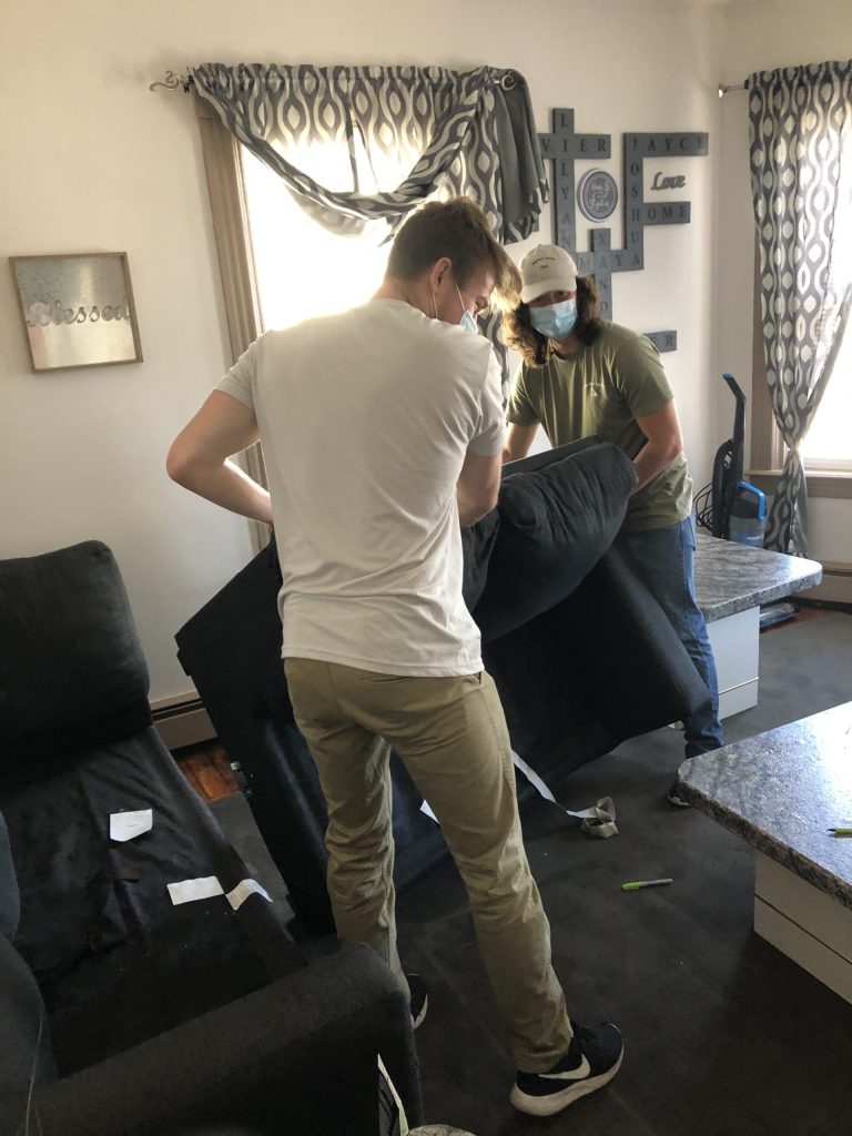 bed bug extermination