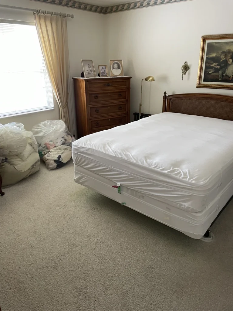 Preparing home bed bug heat treatment Sarasota