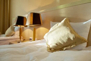 hotel-bed-bugs - K&A Pest Control