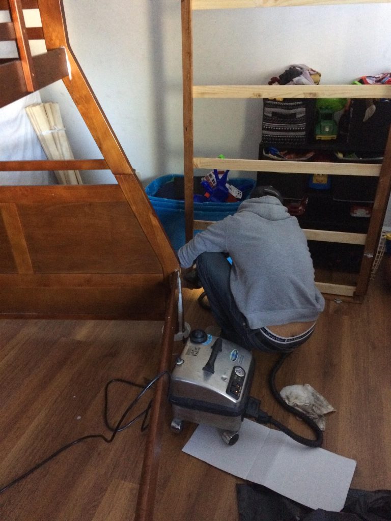 bed bug heat treatment