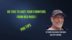 Video Thumbnail: Do This To Save Your Furniture From Bed Bugs - K&A Pest Control